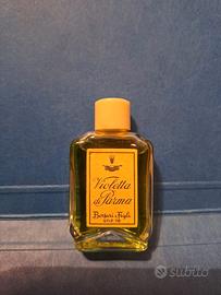 Violetta di Parma