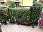 Immagine 9
