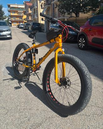 Fat bike