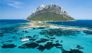 Da aprile 2025 meravigliosa vista mare x 4 persone