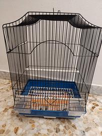 Gabbietta uccelli/palpagallini