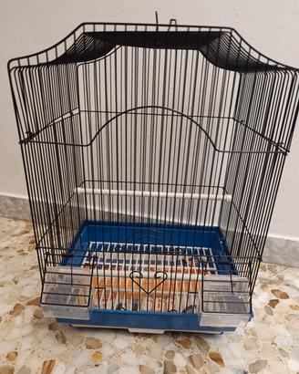 Gabbietta uccelli/palpagallini