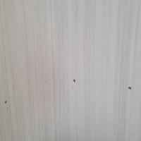Camera da letto a ponte