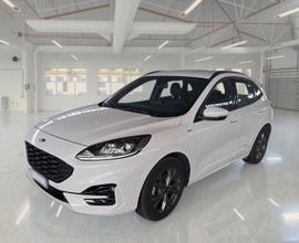 FORD KUGA 1.5 EcoBlue 120CV 2WD ST-Line Auto