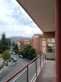 Camera singola in appartamento