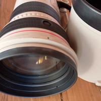 Canon EF 300 MM 1:2,8 L IS USM