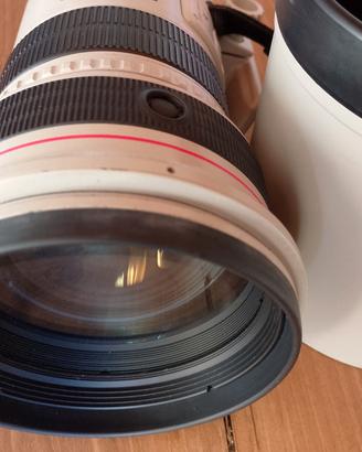 Canon EF 300 MM 1:2,8 L IS USM