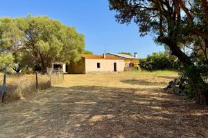 Casa Indipendente Olbia [Cod. rif 3234590VRG]