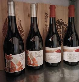 Borgogna - vini Fanny Sabre