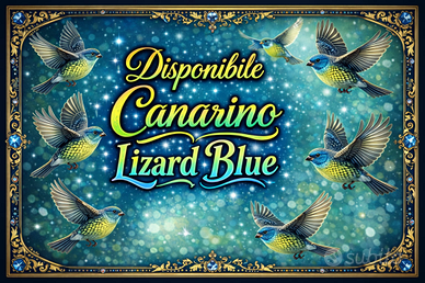 Canarino lizard blu