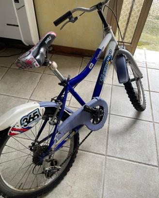 Bici bambino