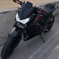 Kawasaki Z300 ABS