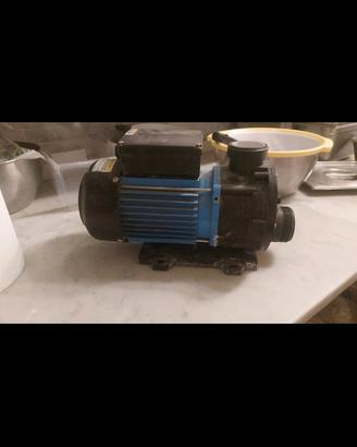 vedersi motore autoclave 