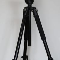 Manfrotto TESTA VIDEO con treppiedi