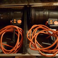 Coppia di Fari alogeni