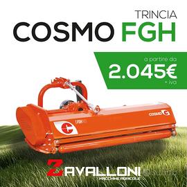 Trinciasarmenti COSMO serie FGH - PROMO