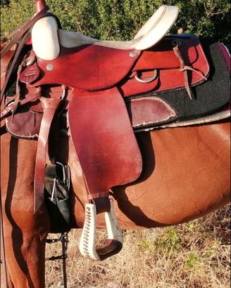 Sella western