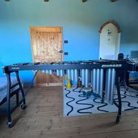 Marimba Musser M31