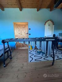 Marimba Musser M31