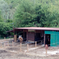 Box cavalli garage rimessa