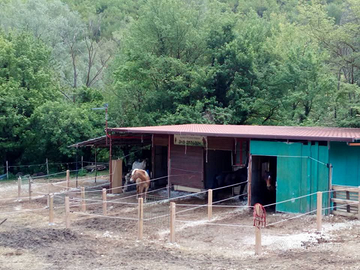 Box cavalli garage rimessa