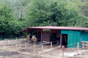 Box cavalli garage rimessa