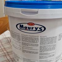 Pittura Maurys litri 4 nuova mai usata 