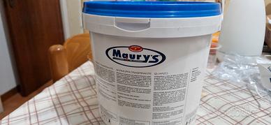 Pittura Maurys litri 4 nuova mai usata 