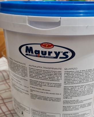 Pittura Maurys litri 4 nuova mai usata 