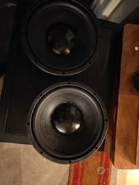 coppia woofer masteraudio