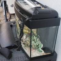 acquario con accessori 