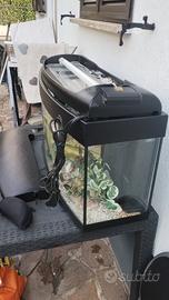 acquario con accessori 