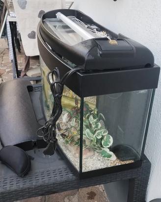 acquario con accessori 