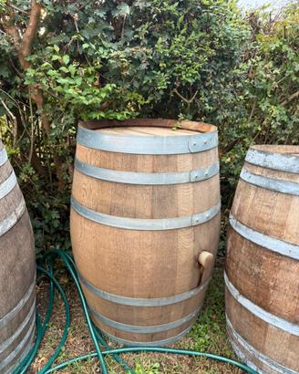 Botti in legno per tavolo arredamenti