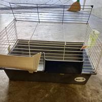gabbia per coniglio nano
