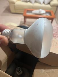 Lampada ad incandescenza