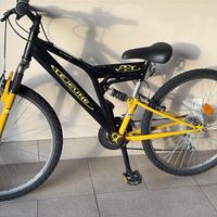 Bicicletta ragazzo