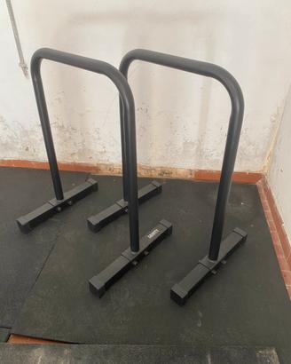Parallele palestra