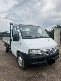 “Fiat ducato cassonato”