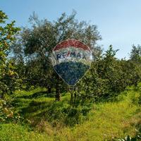 Terreno - Zafferana Etnea