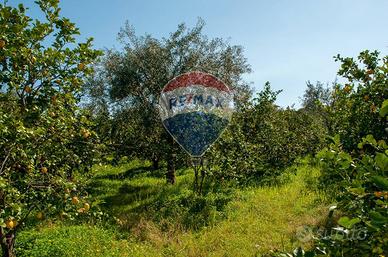 Terreno - Zafferana Etnea