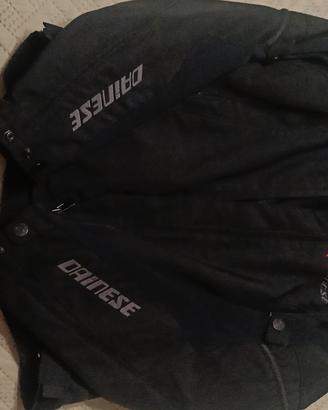 giubbotto DAINESE 