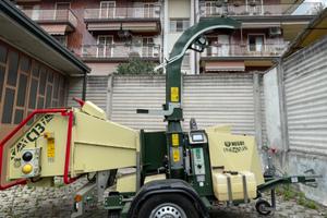 CIPPATORE NEGRI C 13