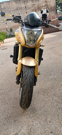Hornet 600