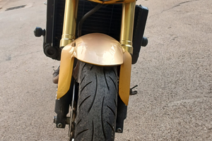 Hornet 600