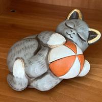 Thun gatto grigio