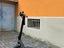 Immagine 5