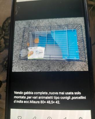 Gabbia completa