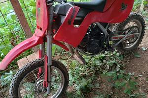 motorino Grizzly 