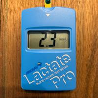 Arkray Lactate Pro test Lattato di Mader